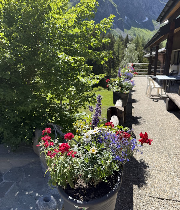 Terrasse La Fouly Lodge