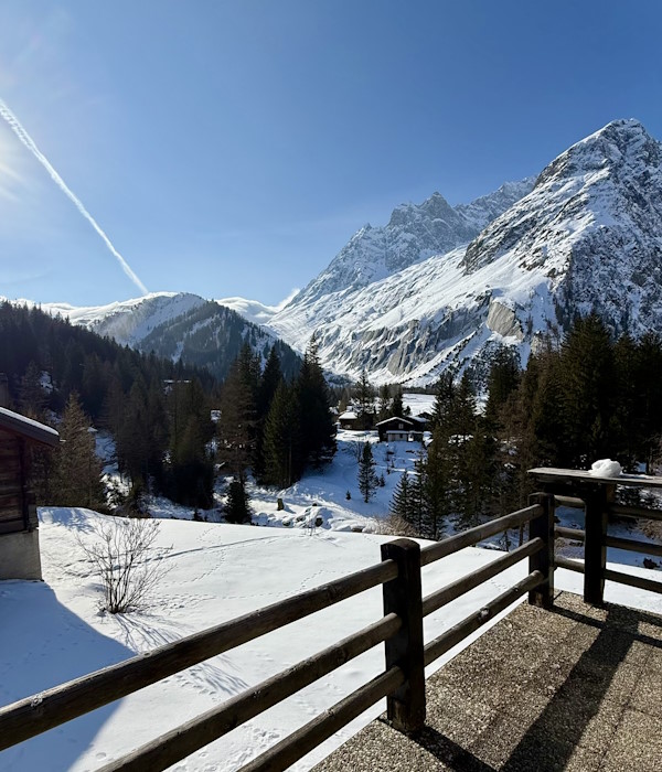 Vue montagne enneigée